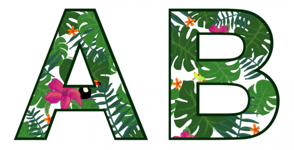 Rainforest Lettering product image
